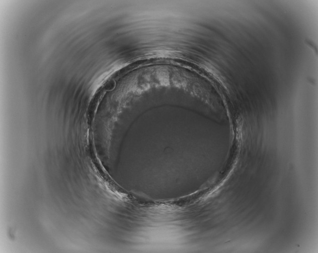 X0000102041117200807251408