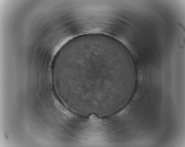 X0000102041118200807251408