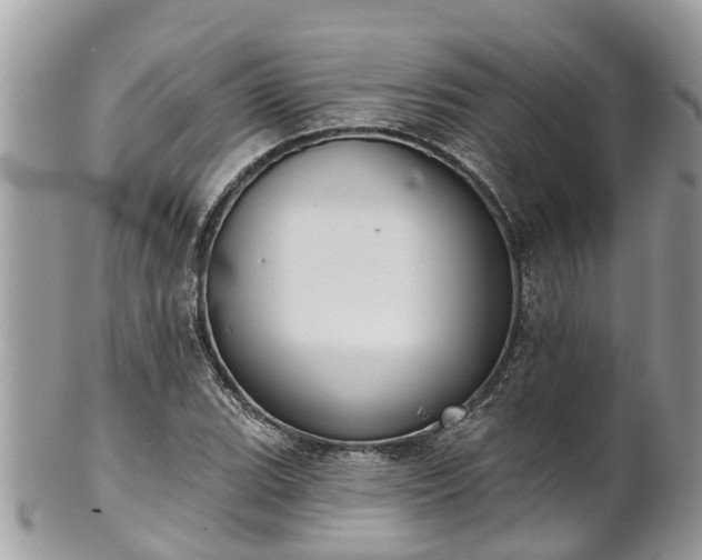 X0000102041119200807251408