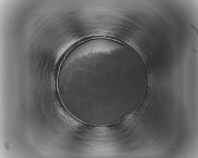 X0000102041120200807251408