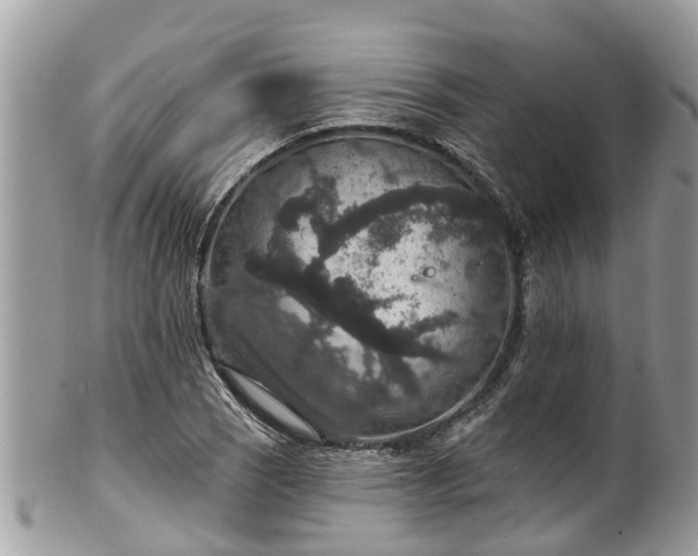 X0000102041121200807251408