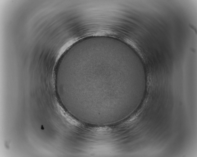 X0000102041122200807251408