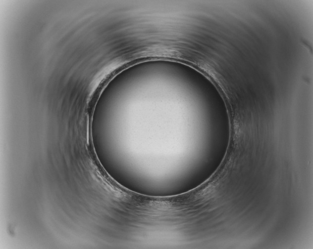 X0000102041123200807251408