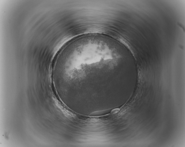 X0000102041124200807251408