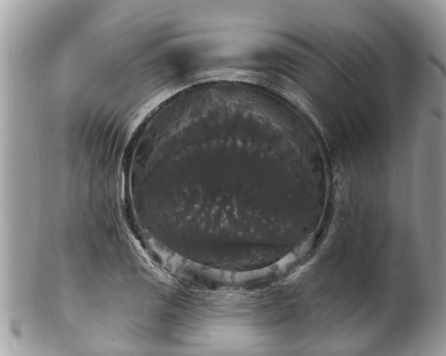 X0000102041125200807251408