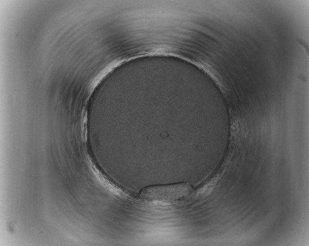 X0000102041126200807251408