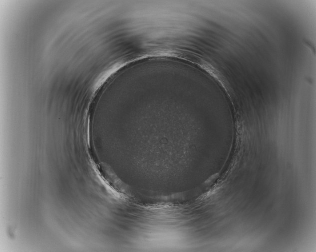 X0000102041127200807251408