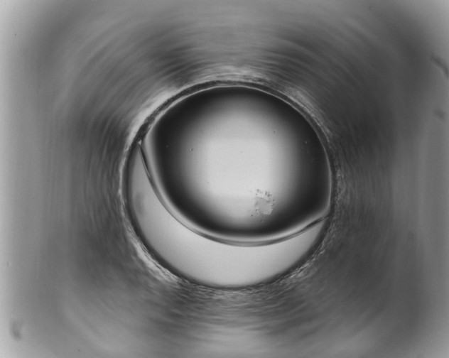 X0000102041128200807251408