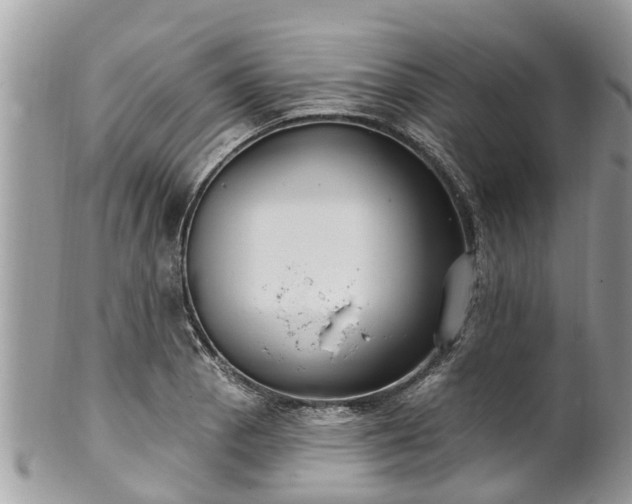 X0000102041129200807251408