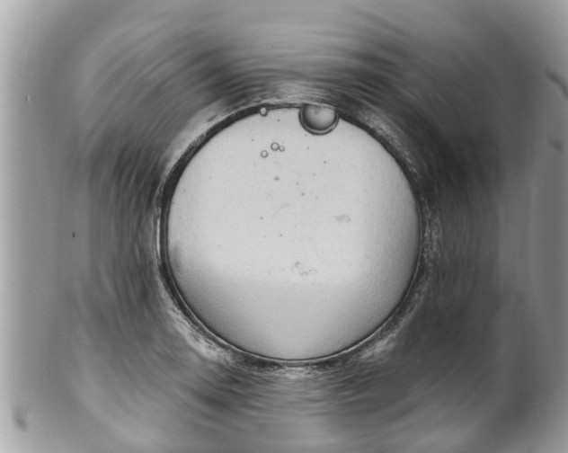 X0000102041130200807251408