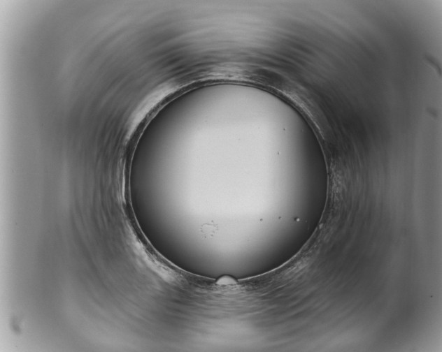 X0000102041131200807251408