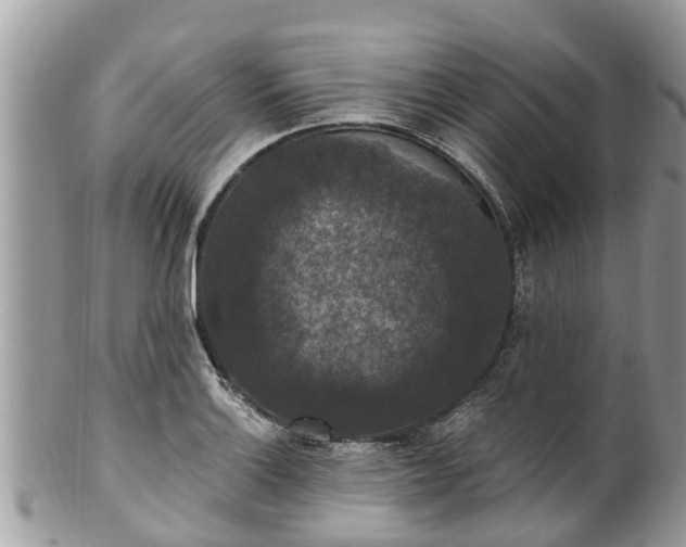 X0000102041132200807251408