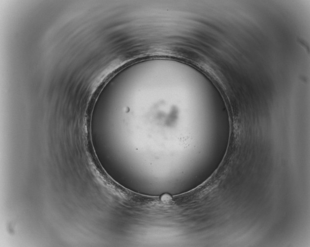 X0000102041133200807251408