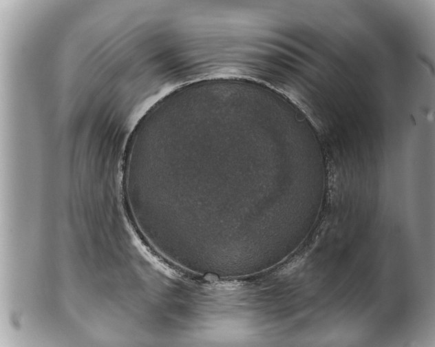 X0000102041134200807251408