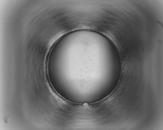 X0000102041135200807251408