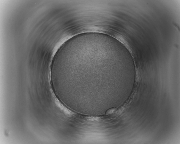 X0000102041136200807251408