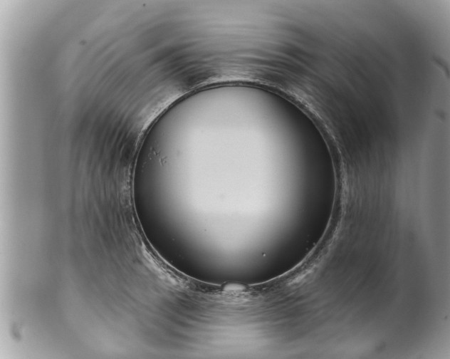 X0000102041137200807251408