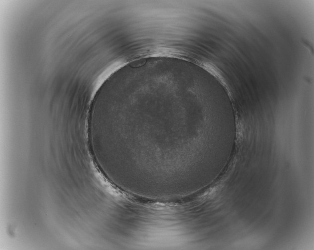 X0000102041138200807251408