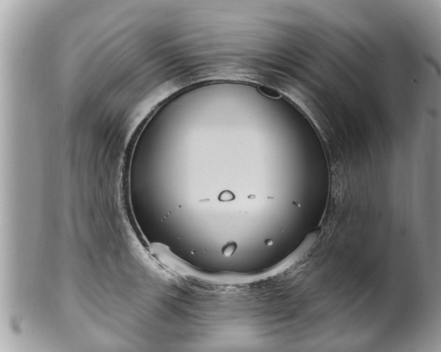 X0000102041139200807251408