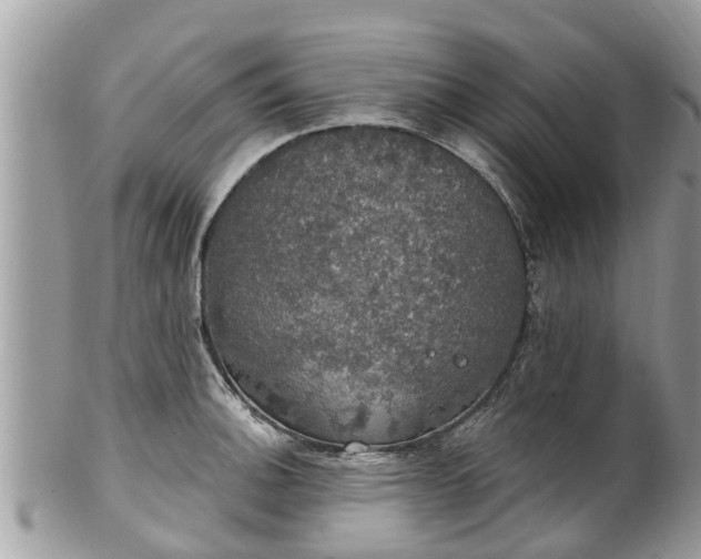 X0000102041140200807251408