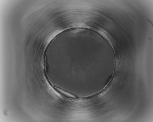 X0000102041141200807251408