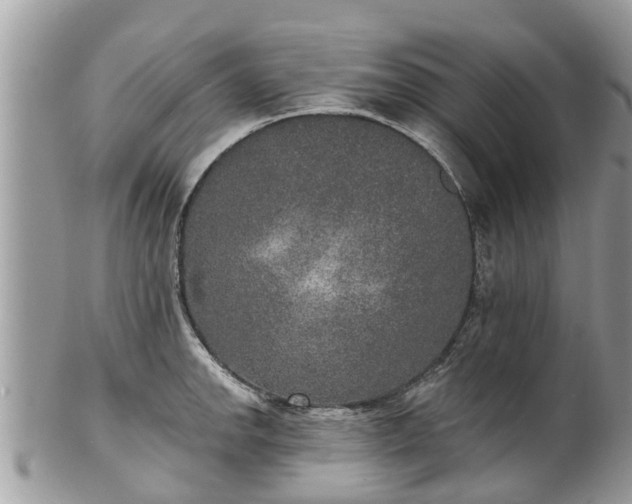 X0000102041142200807251408