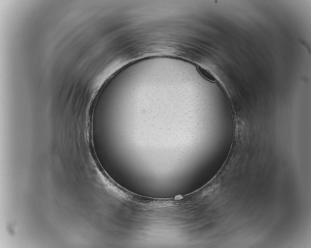 X0000102041143200807251408