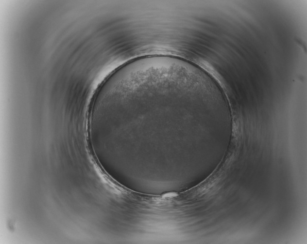 X0000102041144200807251408