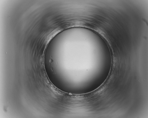 X0000102041145200807251408