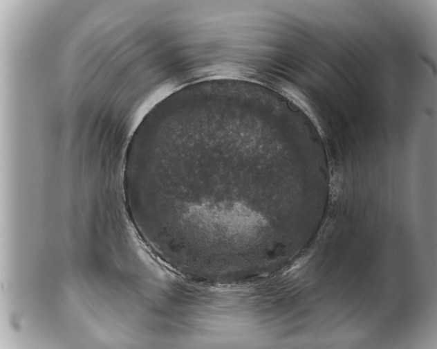 X0000102041146200807251408