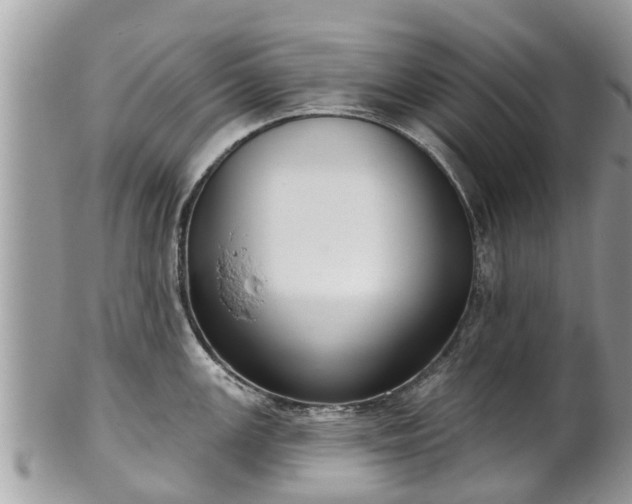 X0000102041147200807251408