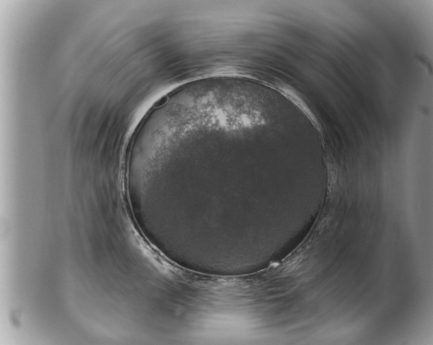 X0000102041148200807251408