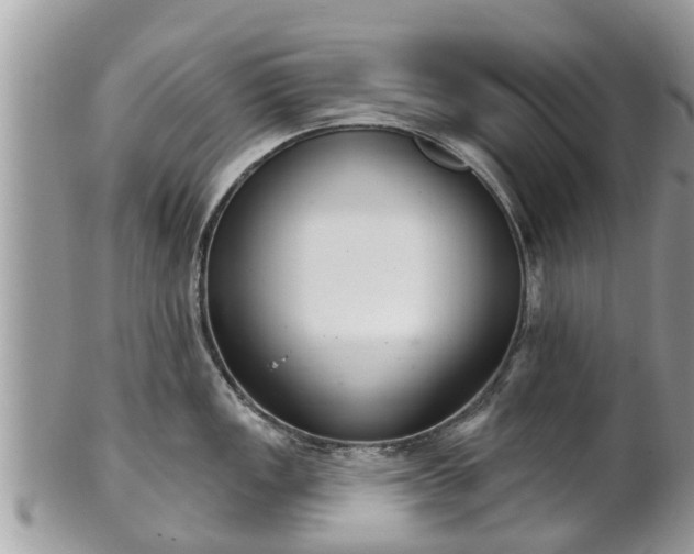 X0000102041149200807251408