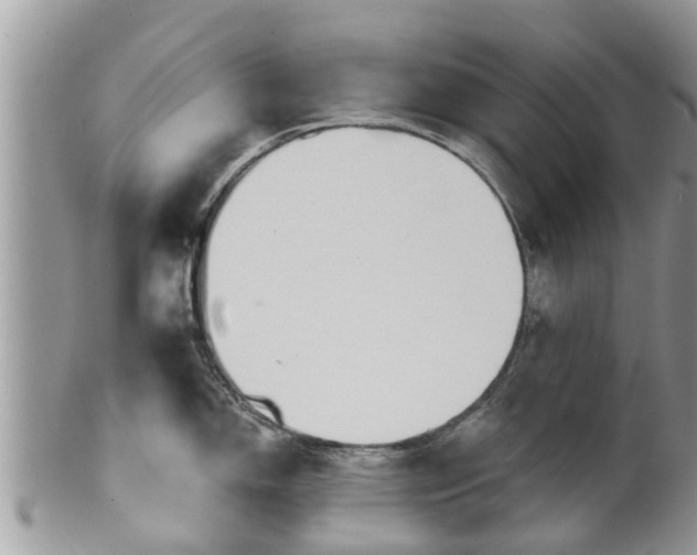 X0000102041150200807251409