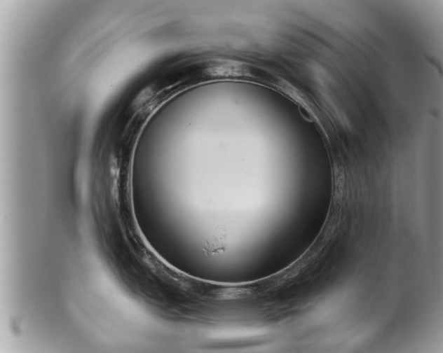 X0000102041151200807251409