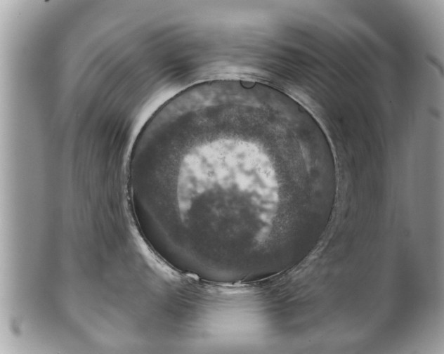 X0000102041152200807251409