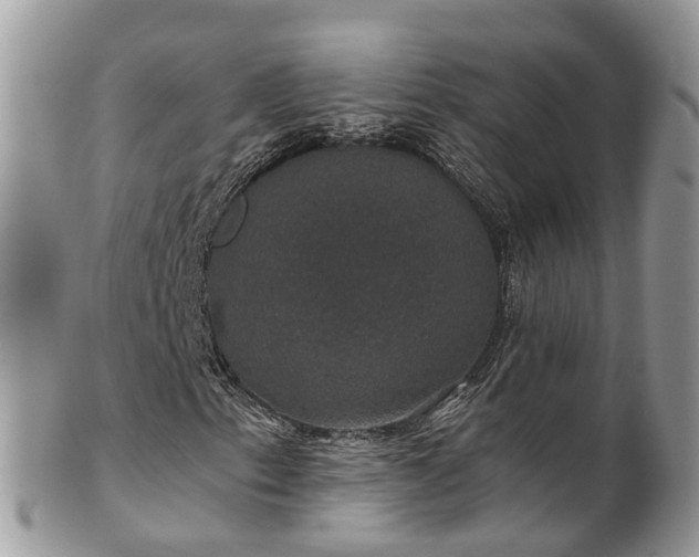 X0000102041153200807251408