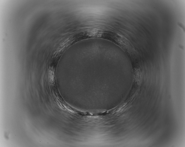 X0000102041154200807251408