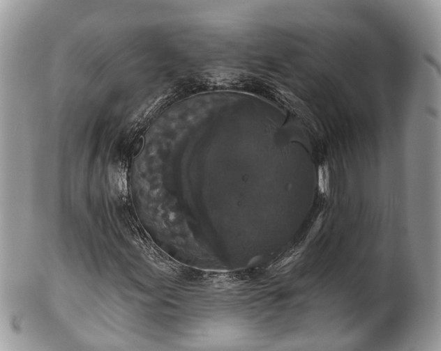 X0000102041155200807251408