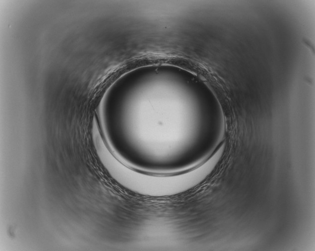 X0000102041157200807251408