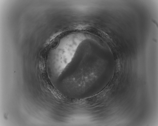 X0000102041158200807251408