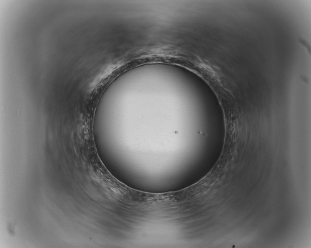 X0000102041159200807251408