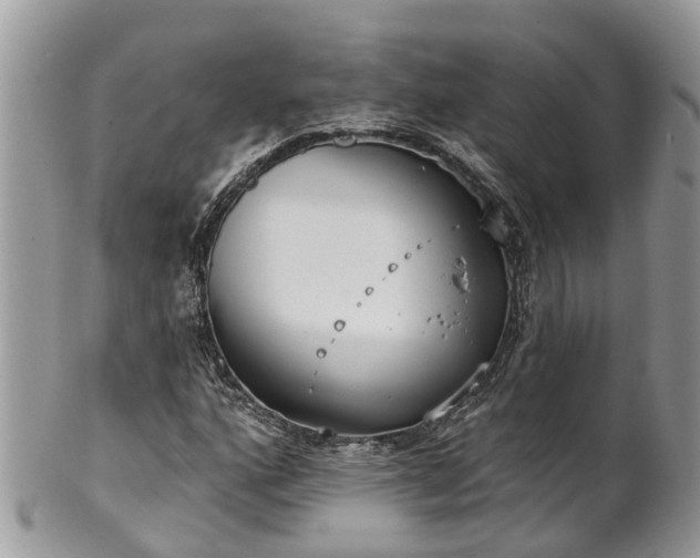 X0000102041160200807251408