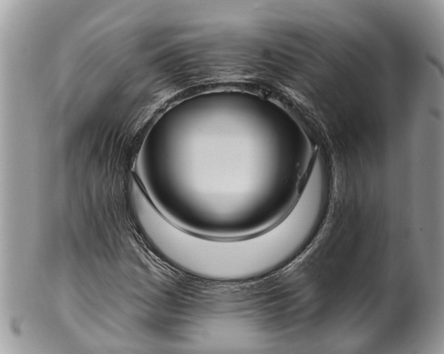 X0000102041161200807251408