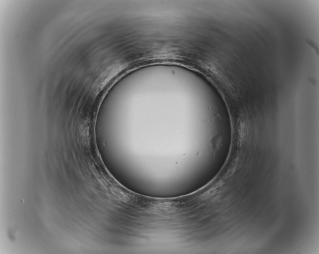 X0000102041162200807251408