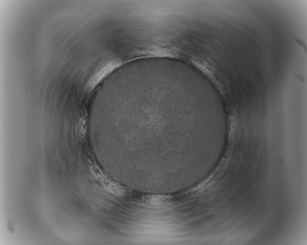 X0000102041163200807251408