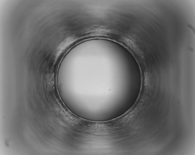 X0000102041164200807251408