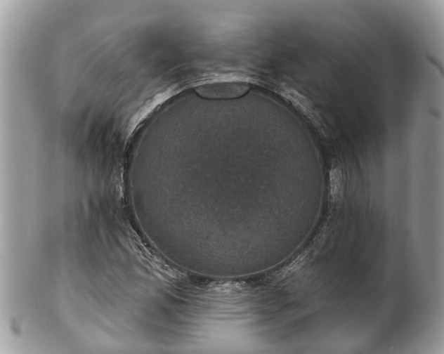 X0000102041165200807251408