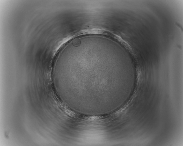 X0000102041166200807251408