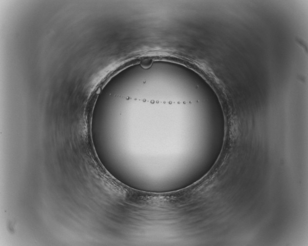 X0000102041167200807251408